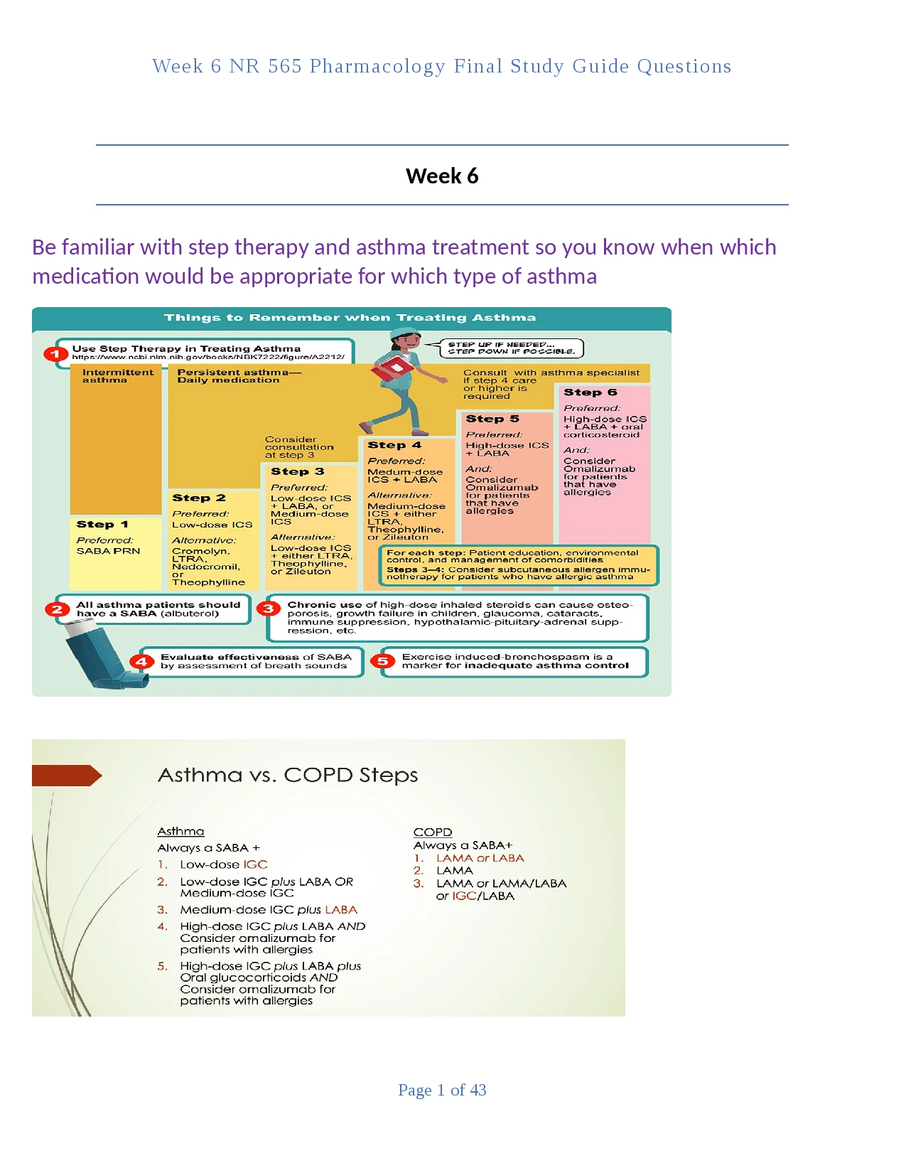 Week 6 NR 565 Pharmacology Final Study Guide Questions Latest Update